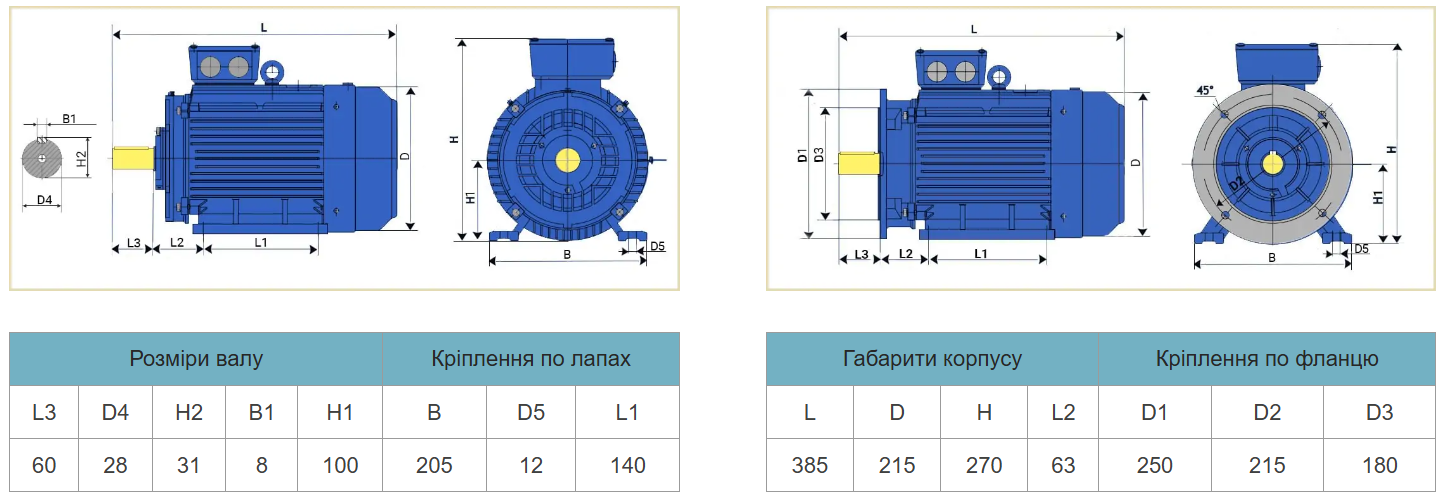 Електродвигуни, асинхронний електродвигун, асинхронний двигун 380, електромотори дешеві, мотор АИР100L2